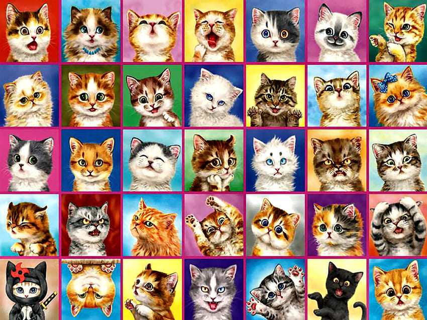 Kayomi Cats, animal, arte, gatos, felino, bonita, ilustração, obra de arte, tela larga, pintura, animais de estimação papel de parede HD