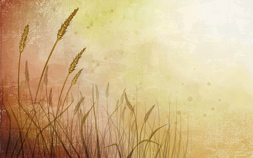Background, Wheat HD wallpaper