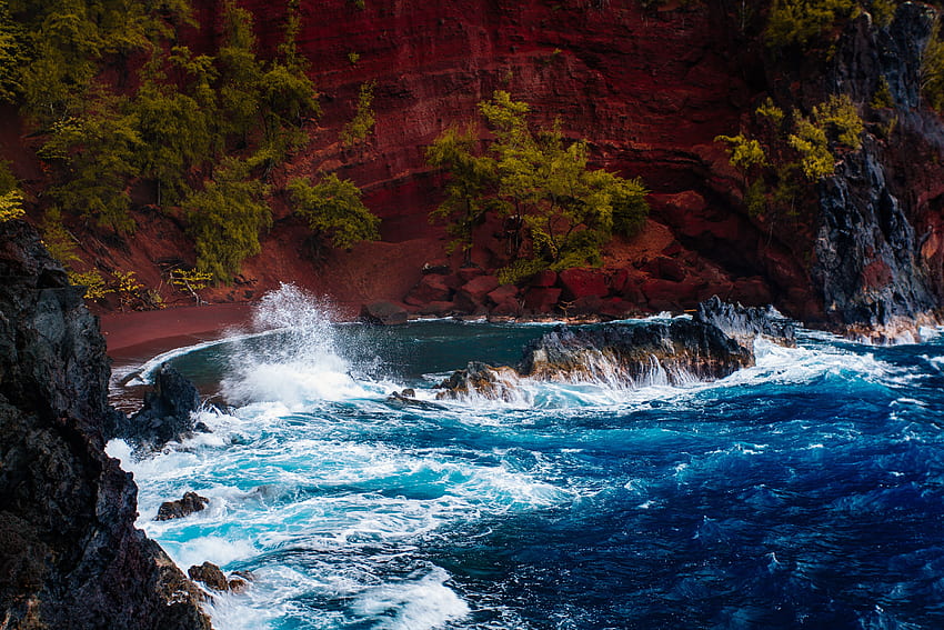 Natura, drzewa, skały, ocean, surfowanie, Hawaje Tapeta HD