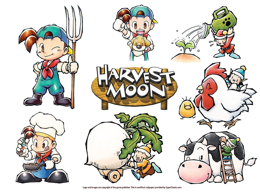 for Harvest Moon: Friends of Mineral Town HD wallpaper