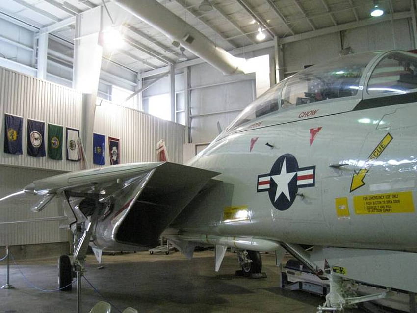 F-14 Tomcat, Kater, f14, Jet, Düsenflugzeug HD-Hintergrundbild
