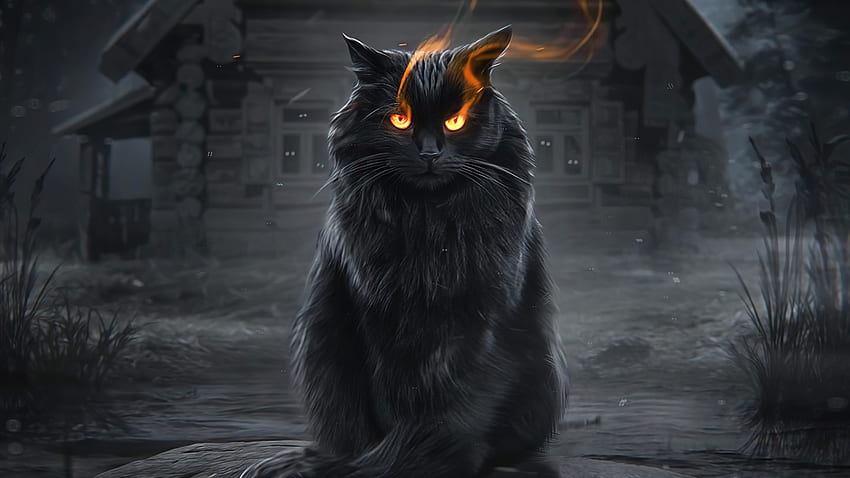 Gatto nero, occhi di fuoco, fantasia Sfondo HD