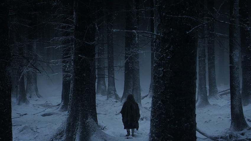 winter trees night forest game of thrones tv series nights watch – Entertainment TV Series HD wallpaper winter trees night forest game of thrones tv series nights watch – Entertainment TV Series HD wallpaper