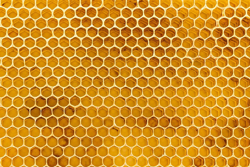 Honeycomb Texture Mural. Buzz Concepts in 2019 HD wallpaper