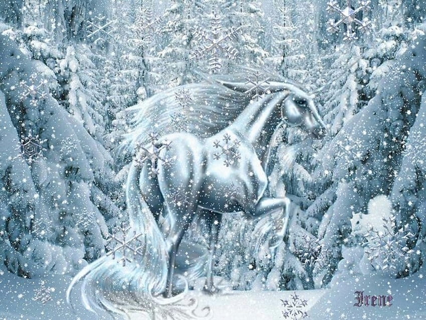 Snow-Magic, magic, snow HD wallpaper