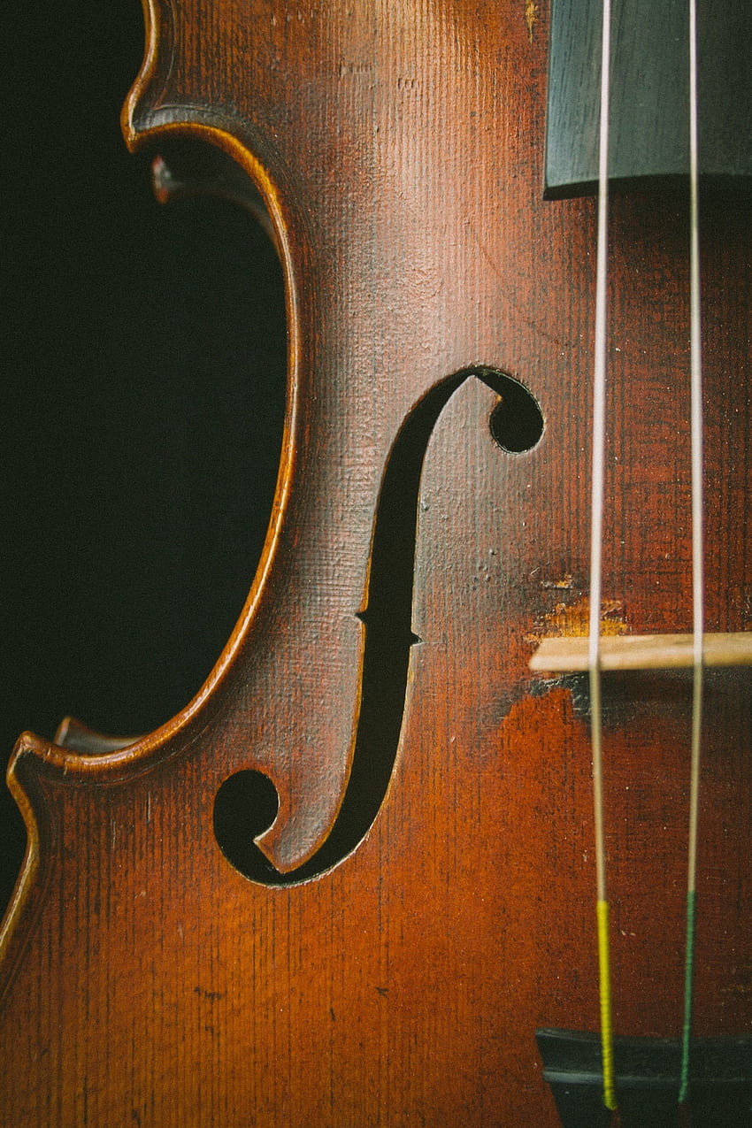 / a close up of the side of an old cello, einsteins instrument, Vintage Violin HD phone wallpaper