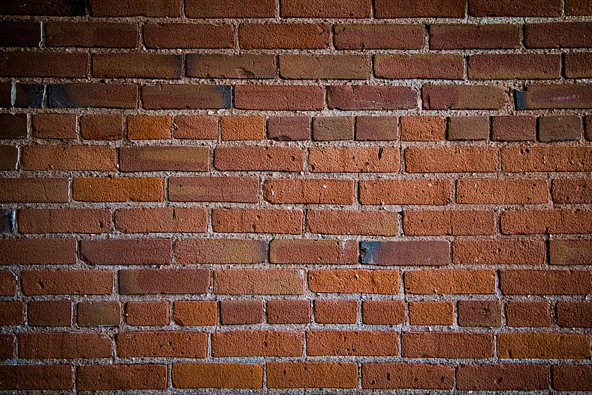 Texture, Textures, Wall, Bricks HD wallpaper