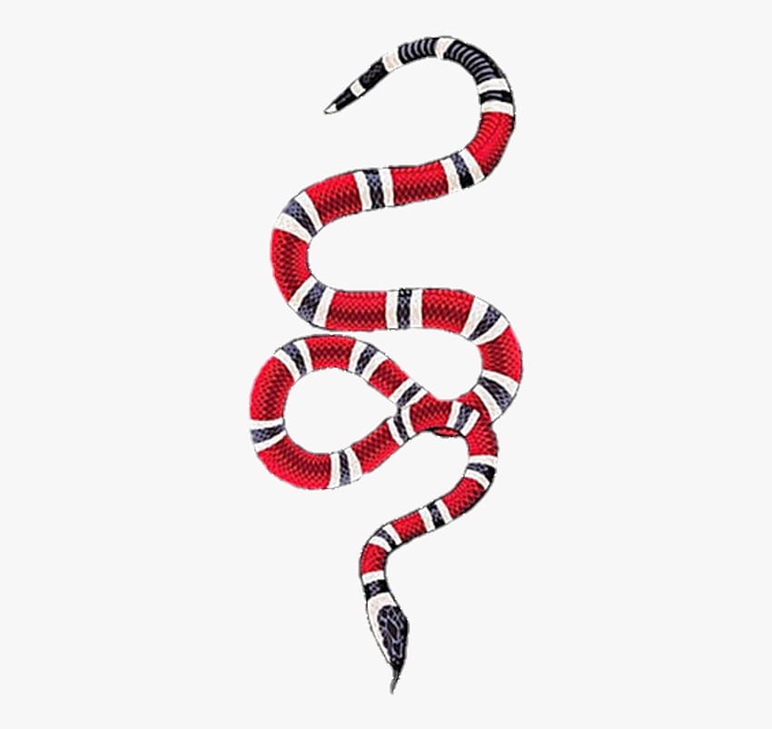 Gucci Snake Iphone Case  Gucci Snake Wallpaper Iphone 6 Transparent PNG   383x766  Free Download on NicePNG