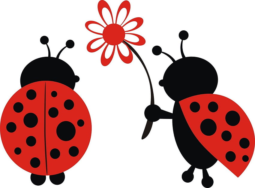 Ladybug Clipart, Clip Art, Clip Art on Clipart Library, Cute Ladybug HD wallpaper