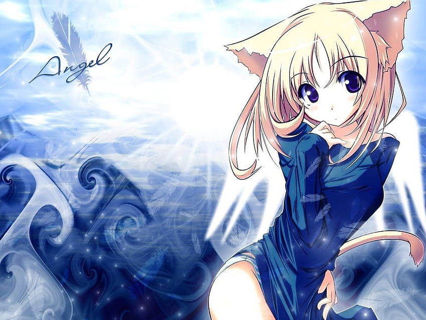 Cute Anime Girl with Cat Wallpapers - Cute Anime Girl Wallpapers 4k