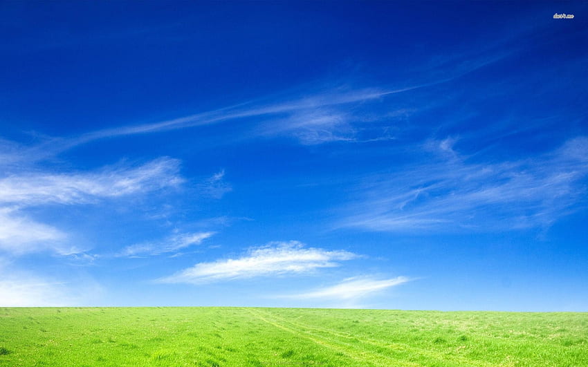 Field under clear sky, nature . Field under clear sky, nature stock HD wallpaper