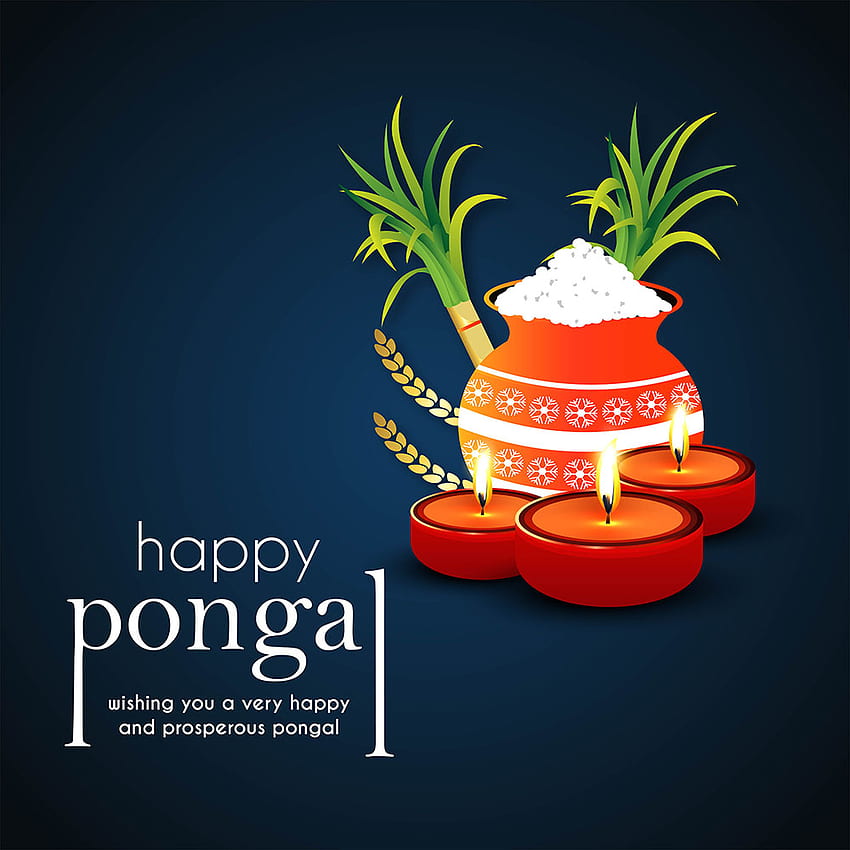 Happy Pongal Wishes Background - ความปรารถนาของ Pongal พร้อมชื่อ บริษัท วอลล์เปเปอร์โทรศัพท์ HD