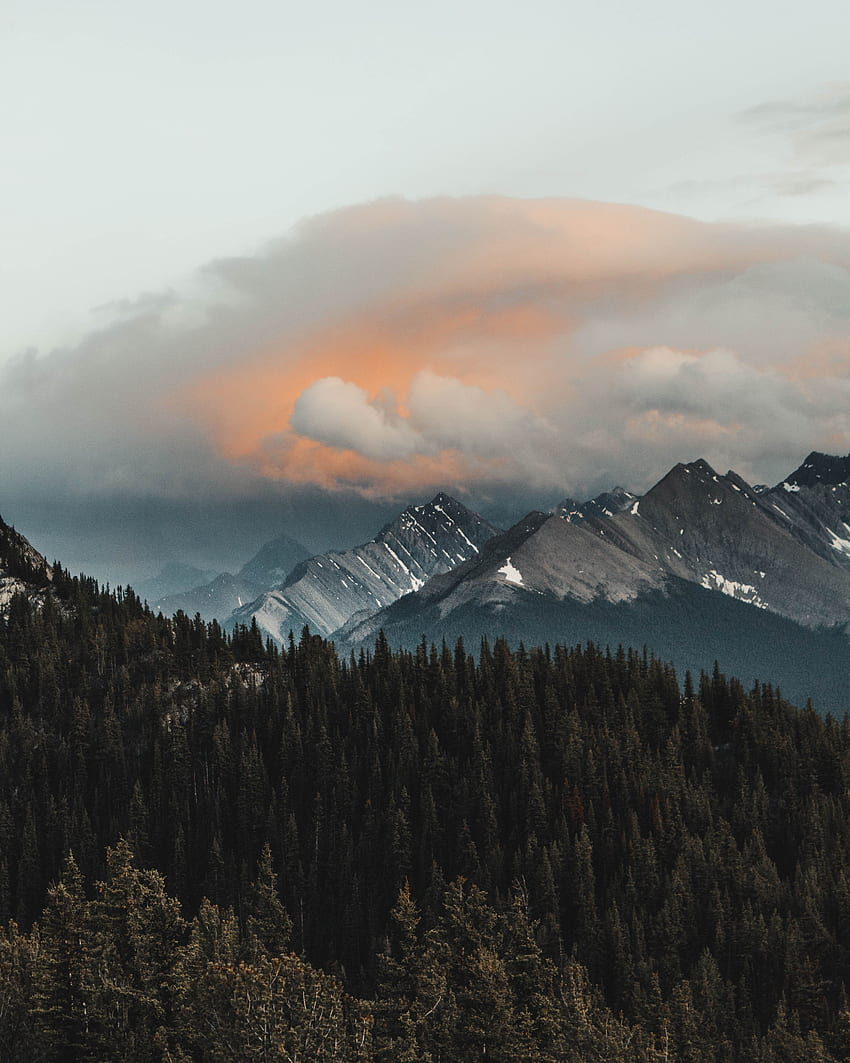 Пейзаж, природа, планини, облаци, гора, планинска верига HD тапет за телефон