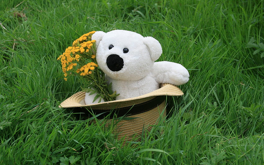 Flowers, Grass, Teddy Bear, , , Present, Gift, Hat HD wallpaper