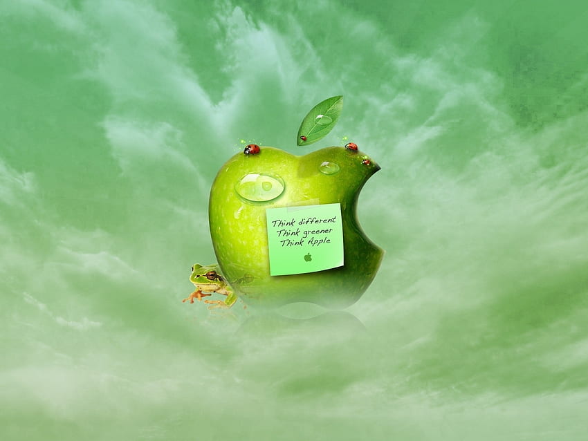 แบรนด์ โลโก้ Apple แอปเปิ้ล วอลล์เปเปอร์ HD