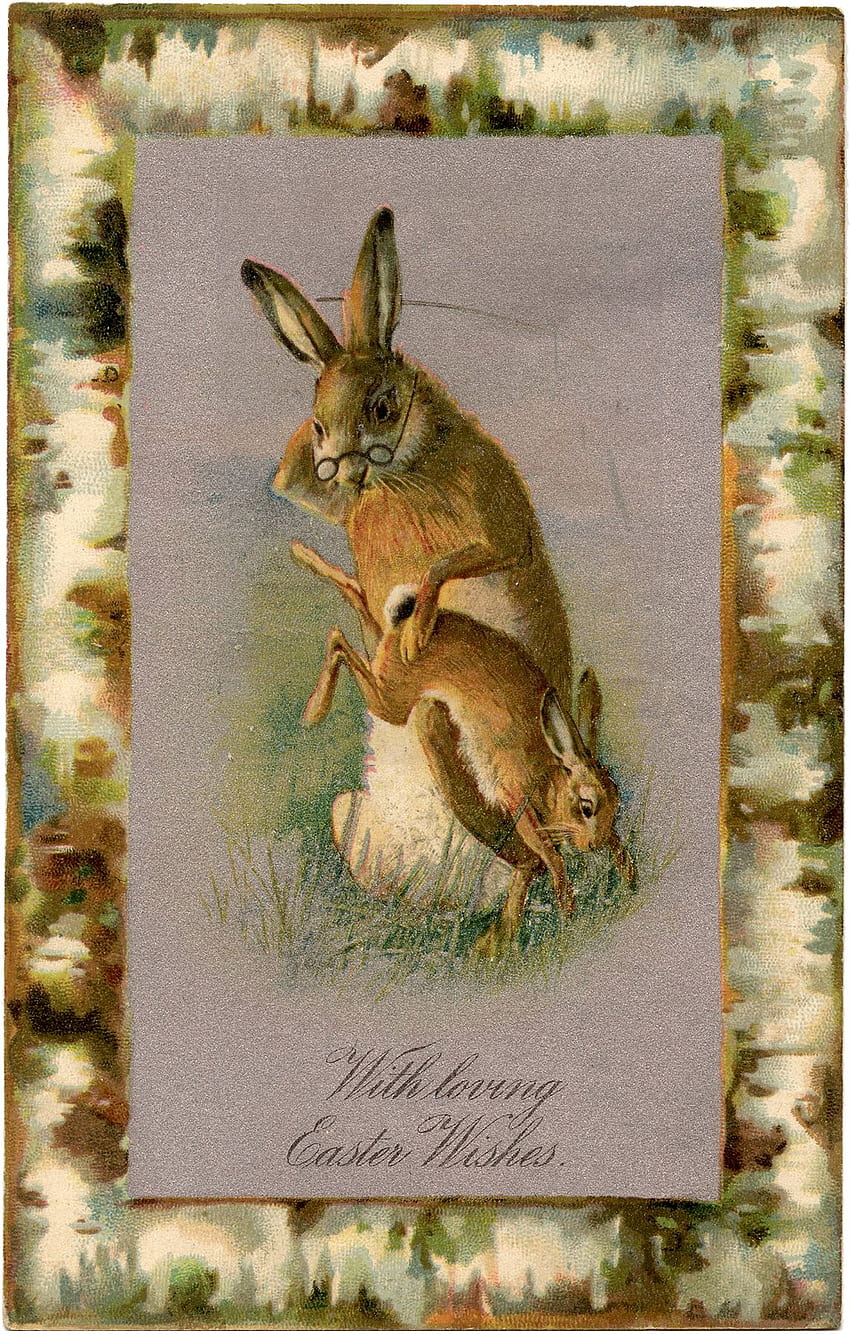 Coniglietto di Pasqua - Aggiornato! - La fata della grafica, coniglietto pasquale vintage Sfondo del telefono HD