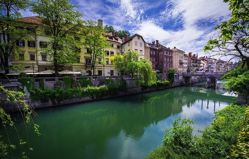 ağaçlar, köprü, nehir, bina, Ljubljana - Slovenya HD duvar kağıdı