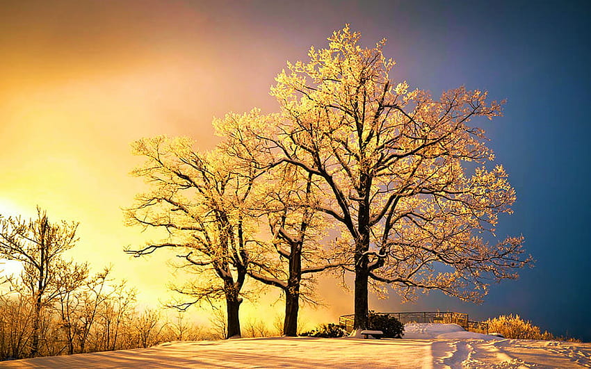 Светещ - Blue Ridge Mountains Winter Sunset, Северна Каролина, САЩ, сняг, цветове, дървета, пейзаж, небе HD тапет