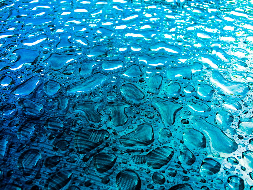 Water, Drops, Macro, Surface HD wallpaper