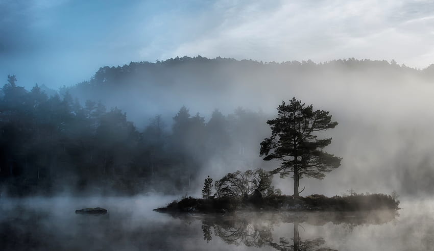 Natur, Wasser, Holz, Baum, Nebel, Insel, Geheimnisvoll, Becken, Inselchen HD-Hintergrundbild