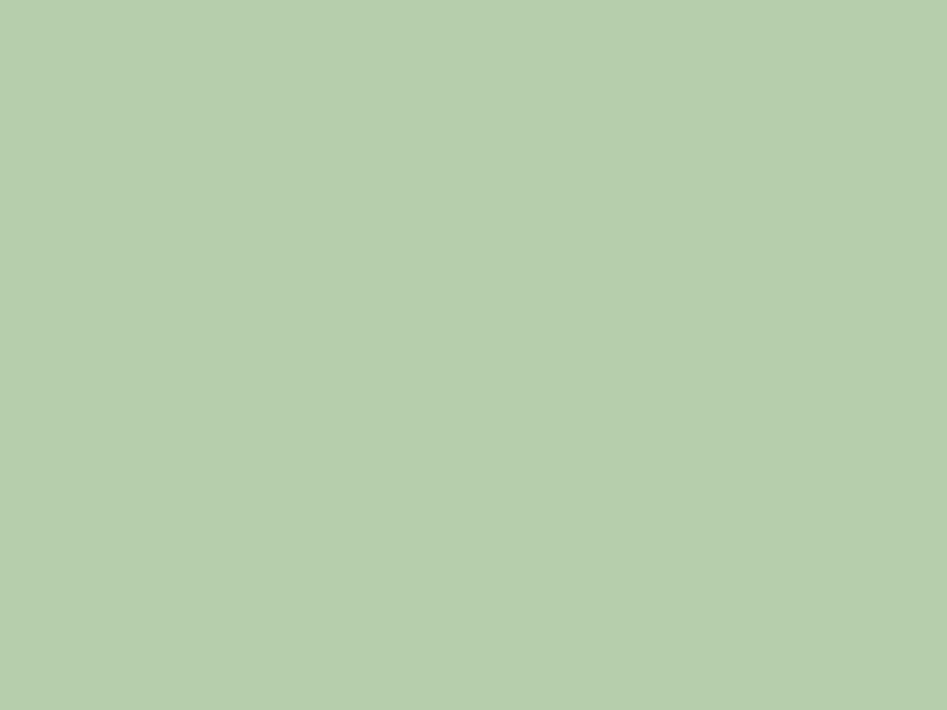 Pastel Green (RAL) color hex code is HD wallpaper