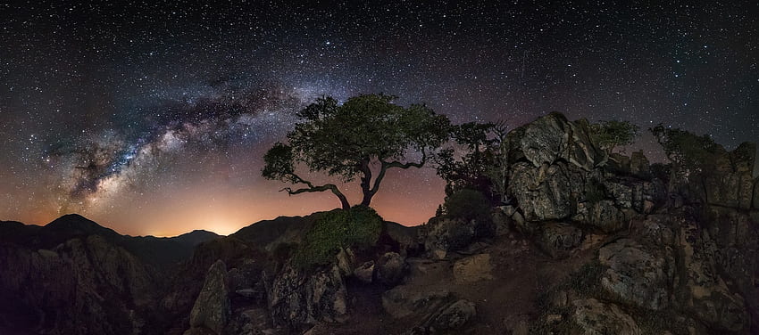 2842743 Naturaleza Paisaje Montaña Árboles Noche estrellada Vía Láctea Galaxia Luces Larga exposición___paisaje Naturaleza . La verdad secreta de la vida fondo de pantalla