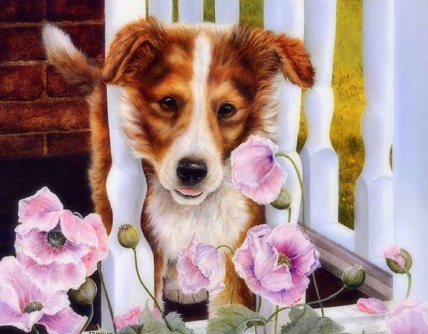 Dog & Poppies, love four seasons, summer, poppies, puppy, animals, dogs, draw and paint, paintings HD wallpaper