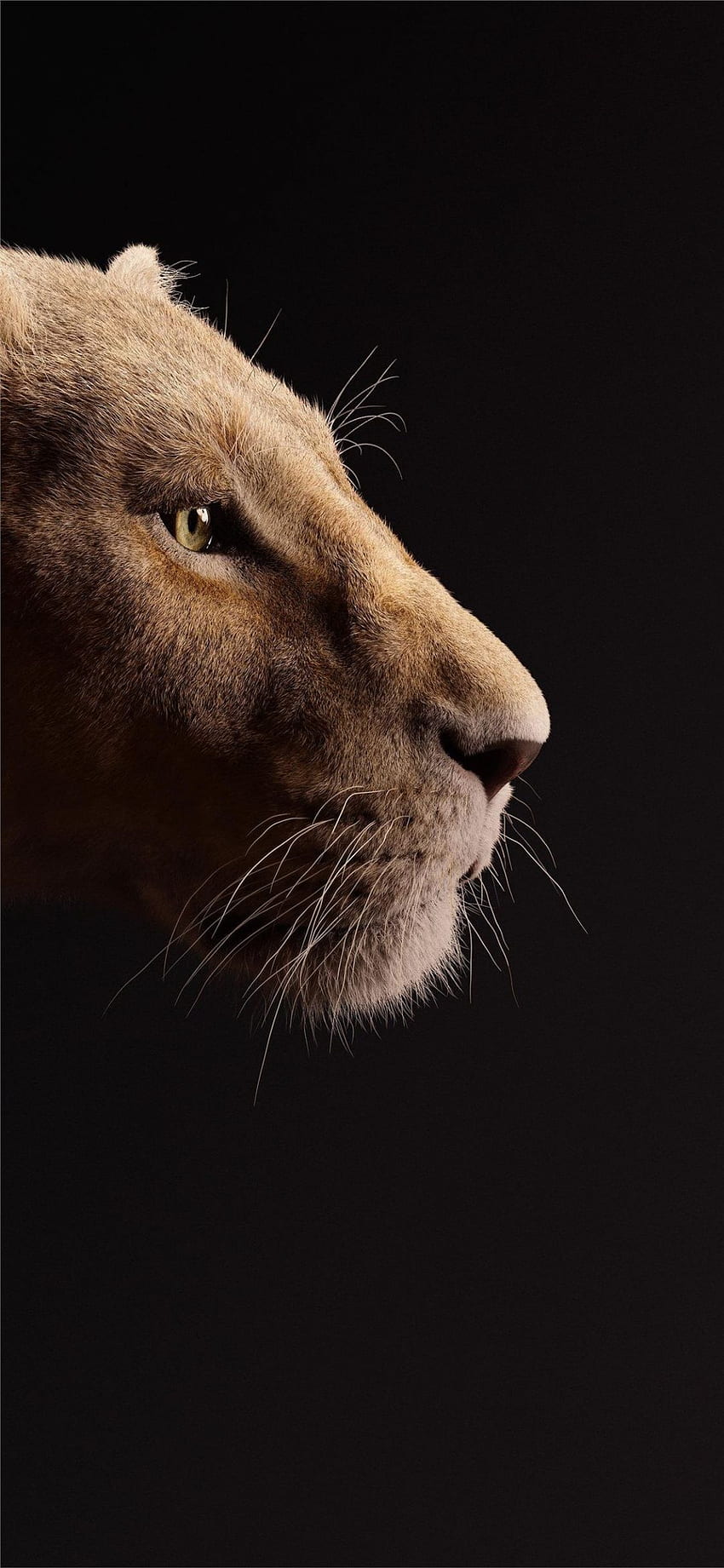 ɓ70 beyonce nei panni di nala il re leone 2019 iPhone X - Android / iPhone () (2021), Carino Il re leone Sfondo del telefono HD