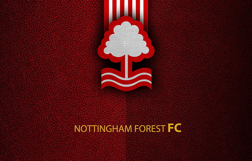 spor, logo, futbol, ​​İngiltere Premier Ligi, Nottingham Ormanı için , bölüm спорт HD duvar kağıdı