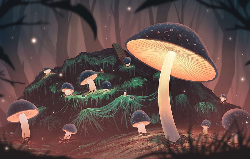 숲, 밤, 버섯, 광선, 예술, 섹션 разное, Kawaii Mushroom' HD 월페이퍼