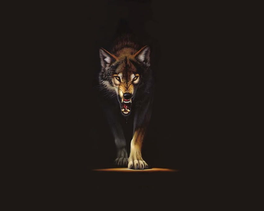Serigala, Serigala Tunggal Wallpaper HD