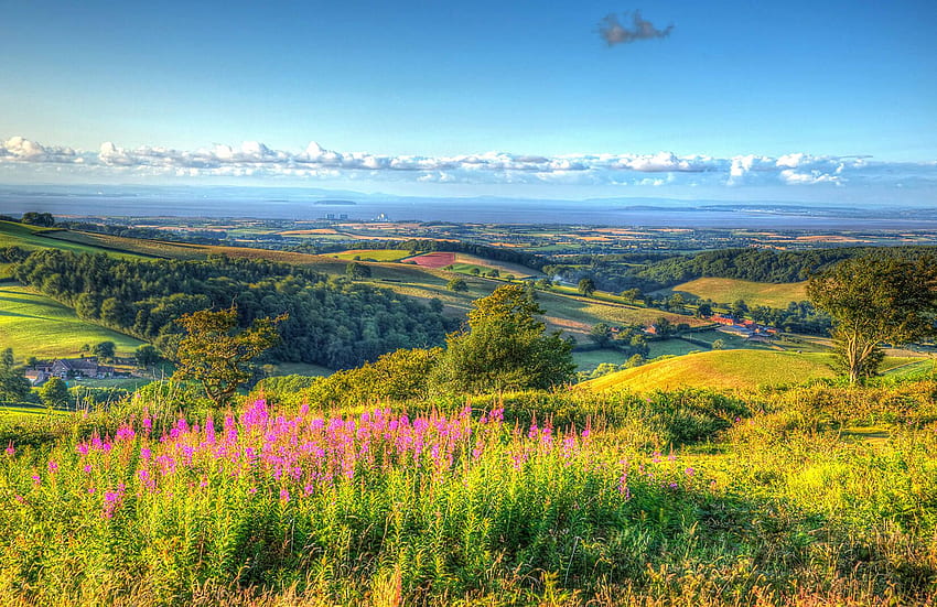 Somerset Countryside Wall Mural .uk, French Countryside Landscape HD  wallpaper | Pxfuel