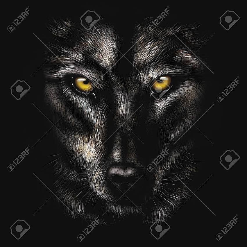 Hand drawing Portrait Of A Black Wolf On A Black Background Stock [] for your , Mobile & Tablet. Explore Background Wolf. Wolf, Wolf , Wolf, Drawn Wolf HD phone wallpaper