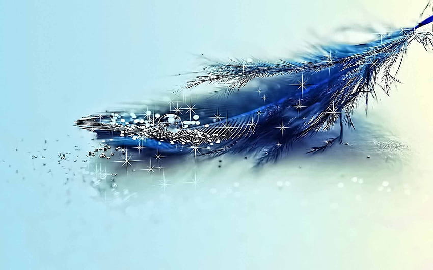 3D Feather HD wallpaper | Pxfuel