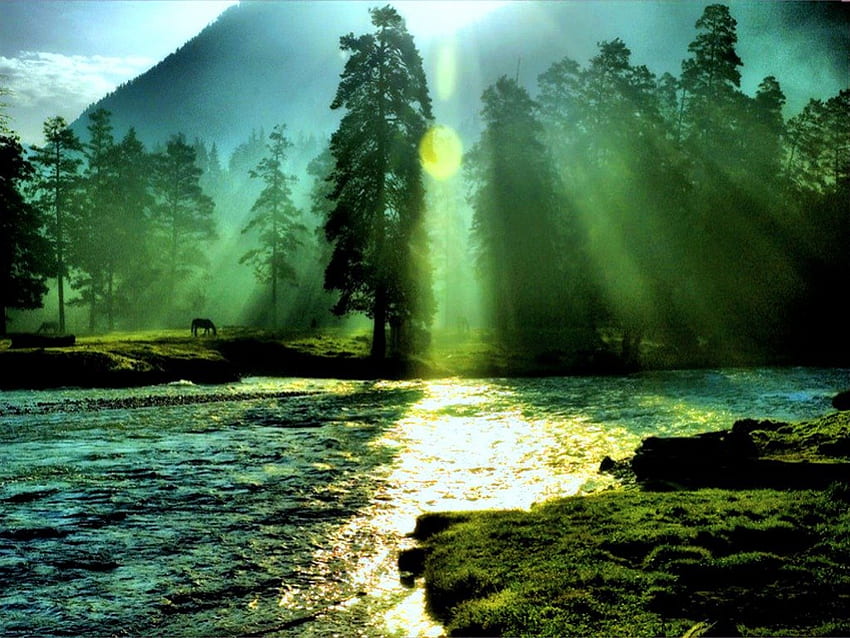 ตอนเช้า แสงแดด แม่น้ำ รังสี สีเขียว ต้นไม้ วอลล์เปเปอร์ HD