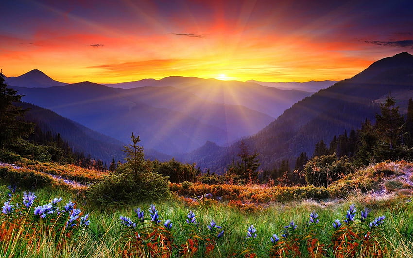 Mountain Sunset, plantas, rayos de sol, colores, flores, cielo, montañas fondo de pantalla