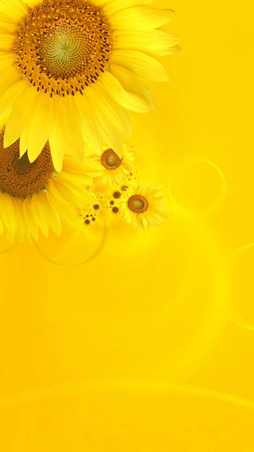 Yellow iPhone, Lemon Yellow HD phone wallpaper