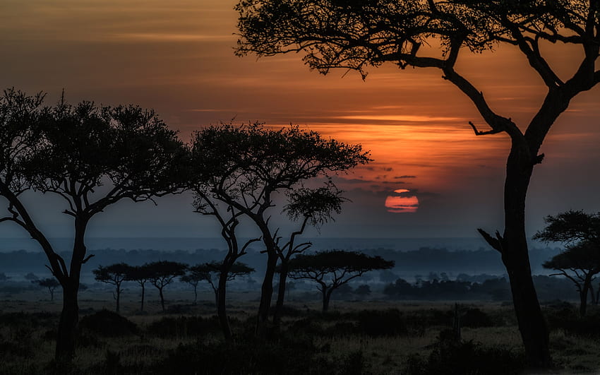 マサイマラ国立保護区ケニア アフリカ MacBook Air の日の出。 オールマック、マサイマラ 高画質の壁紙