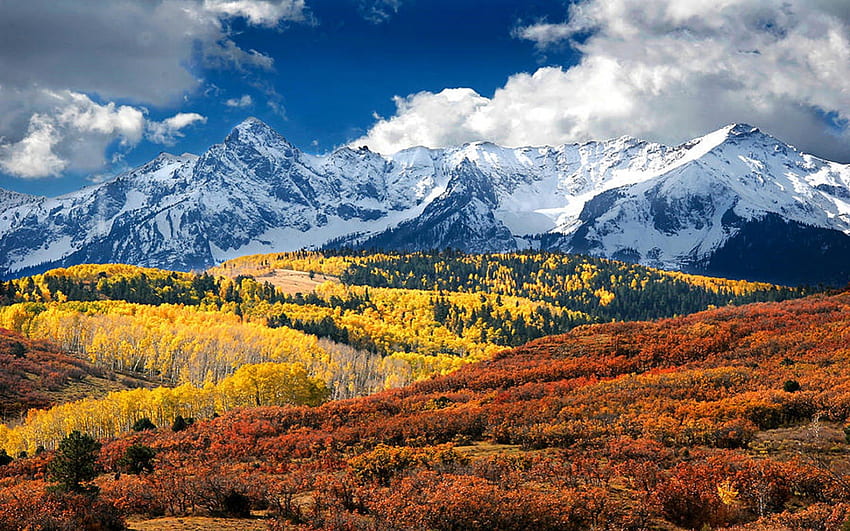 Планина Сан Хуан, Колорадо, синьо, земя, планина, дневна светлина, ден, жълто, облаци, дървета, природа, небе, гора HD тапет