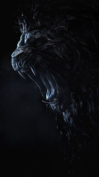 Black Lion HD Wallpaper 64 images