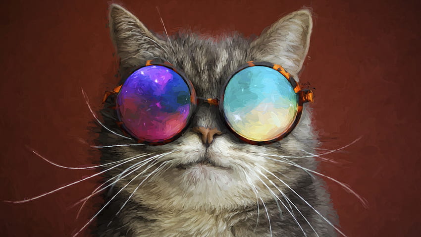 Cat Glasses Party Cool Painting HD wallpaper | Pxfuel