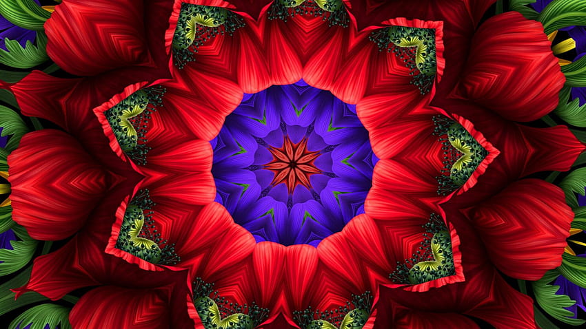 Mandalas made manifest: spring flower power HD wallpaper