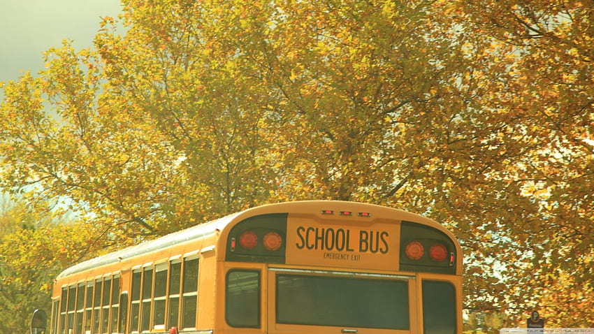 Nostalgia Bus Sekolah ❤ untuk Ultra Wallpaper HD