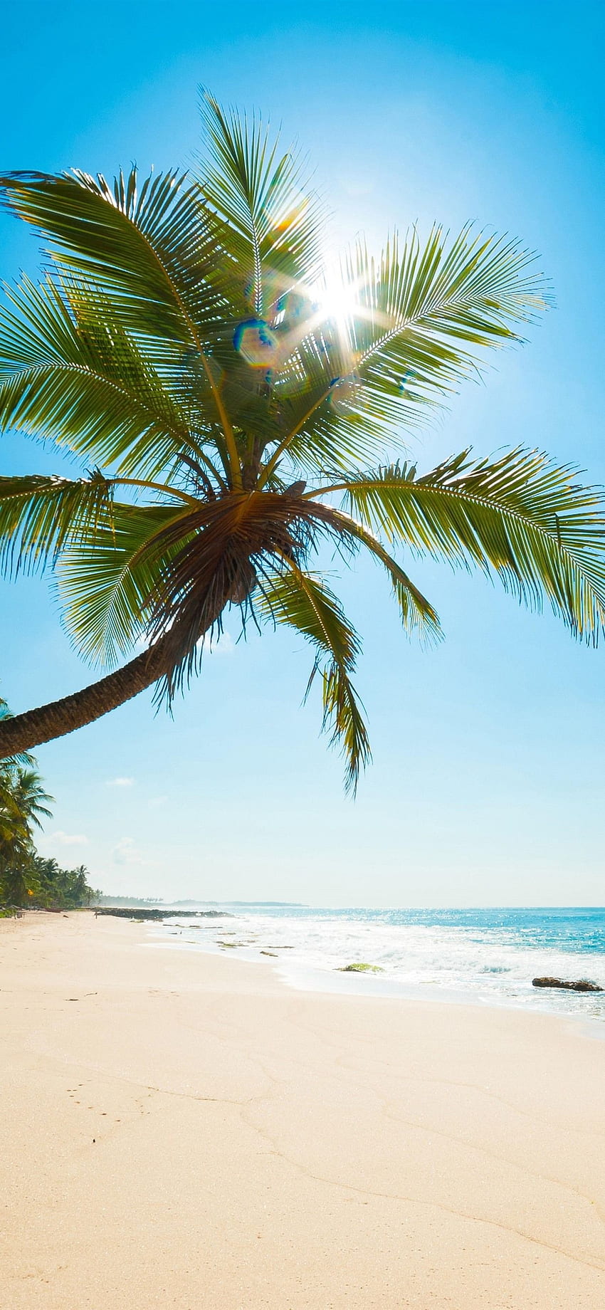 카리브해, 바다, 해변, 야자수, 태양 광선, 열대 iPhone 11 Pro XS Max, 배경 HD 전화 배경 화면