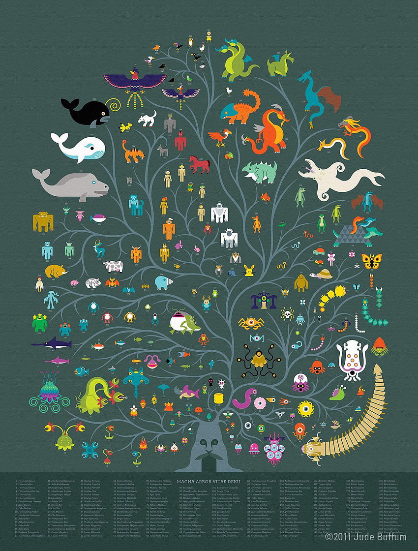 Biological Diversity, Biodiversity HD phone wallpaper