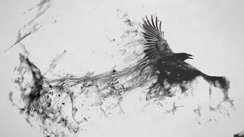 Podgląd kruk, ptak, latanie, dym, czarno-biały Tapeta HD