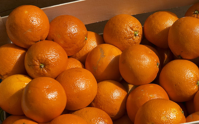 Obst, Lebensmittel, Hintergrund, Orangen HD-Hintergrundbild