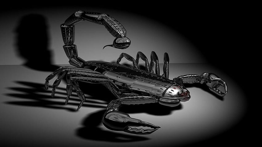 Scorpion Live for Android, Black Scorpion HD wallpaper