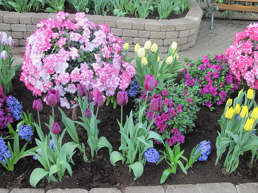Gardener creativity 01, blue, graphy, Pink, Garden, purple, Tulips, yellow, Flowers, Hyacinths HD wallpaper