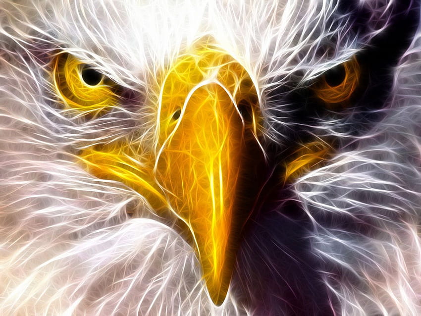 eyes of the eagle 5e